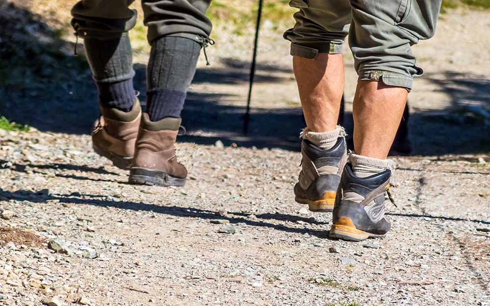 The legs of two hikers as they walk.